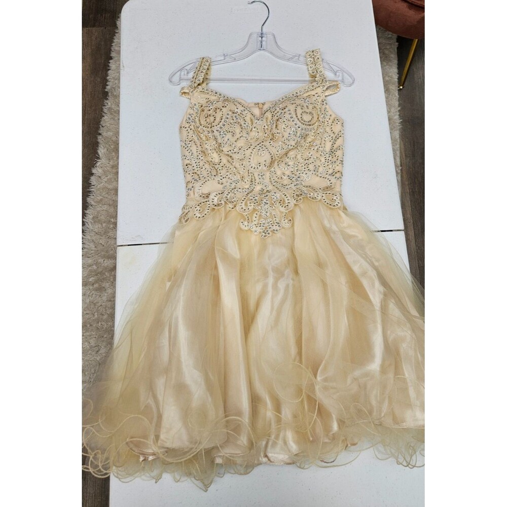 NWT Anny Lee Tan Sleeveless V Neck A Line Embroidered Zip Women's Dress Size S